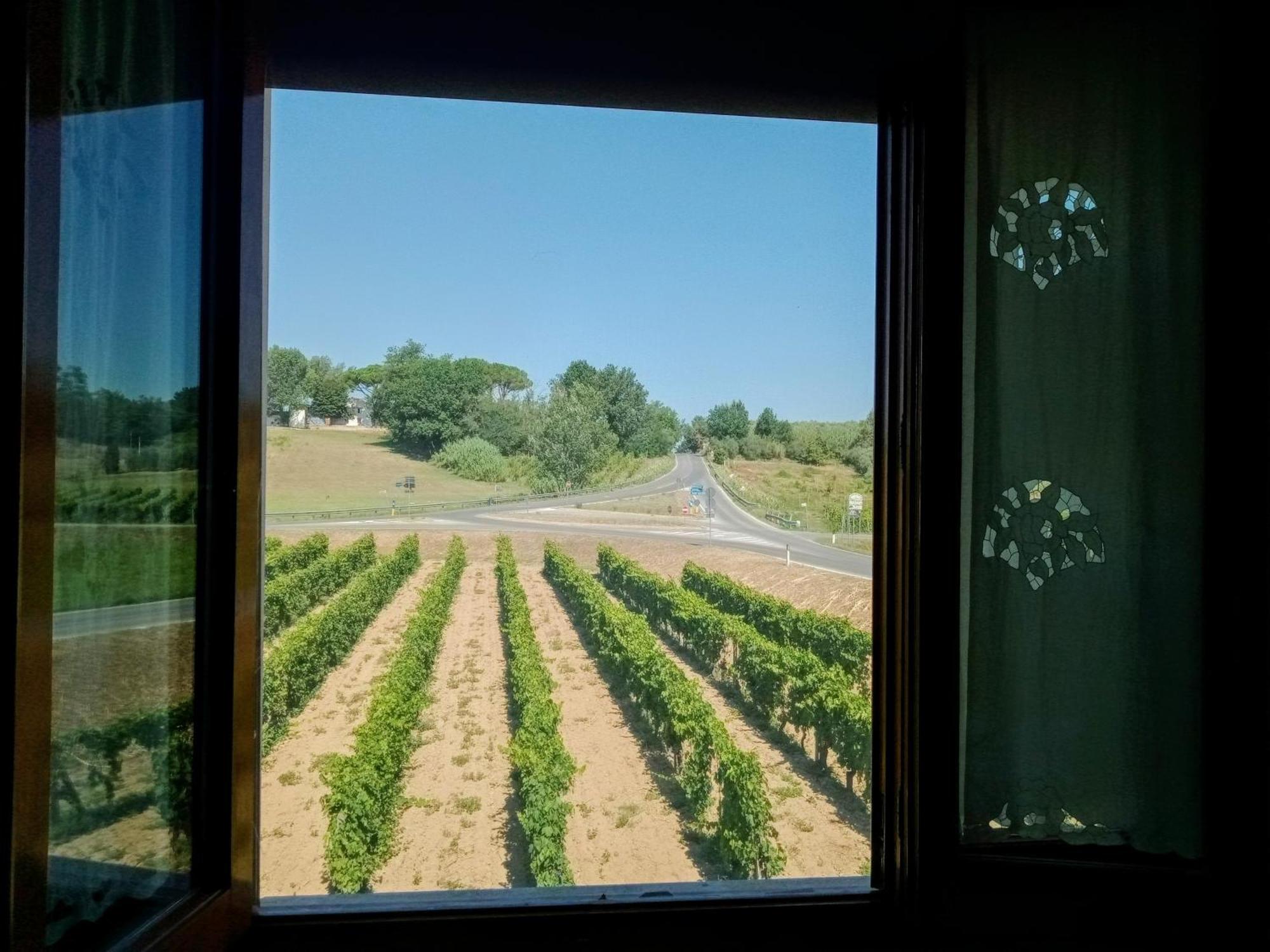 Agriturismo Barbarino Vinci Exteriér fotografie